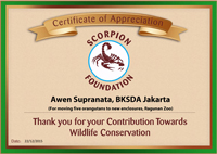 SCORPION Appreciates BKSDA Jakarta for Moving of 5 Orangutans to Better Enclosures (December 23, 2015)